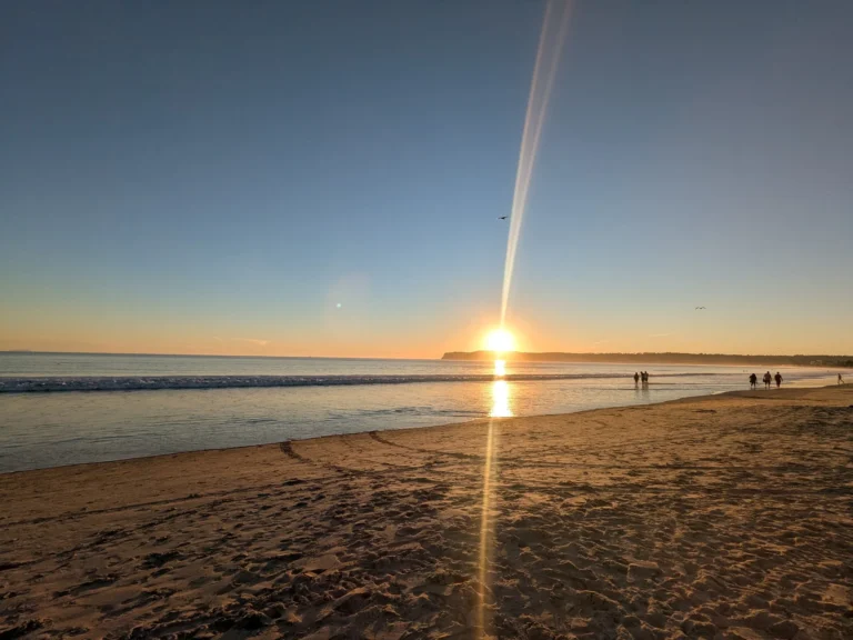 Coronado Dog Beach in San Diego