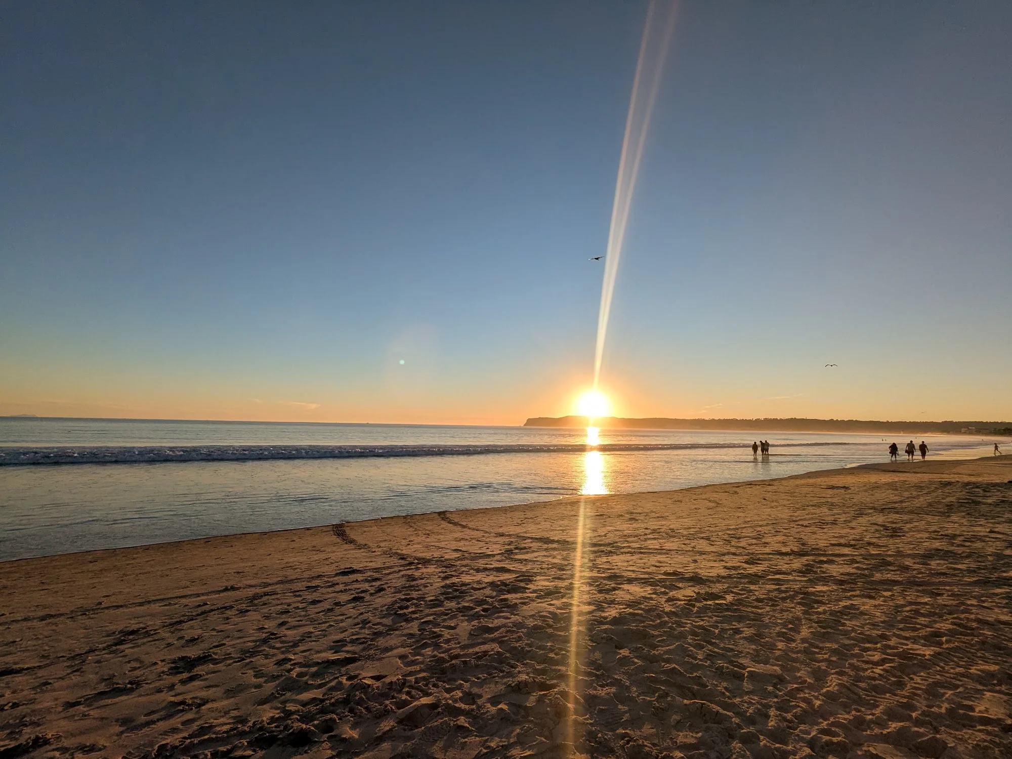 Coronado Dog Beach in San Diego