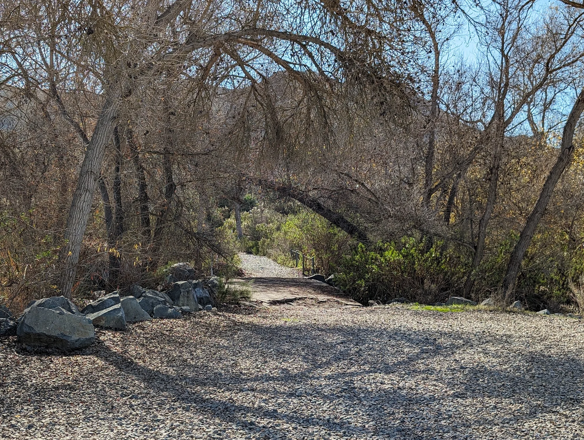 dog friendly campgrounds san diego