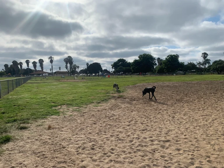 dusty rhodes dog park