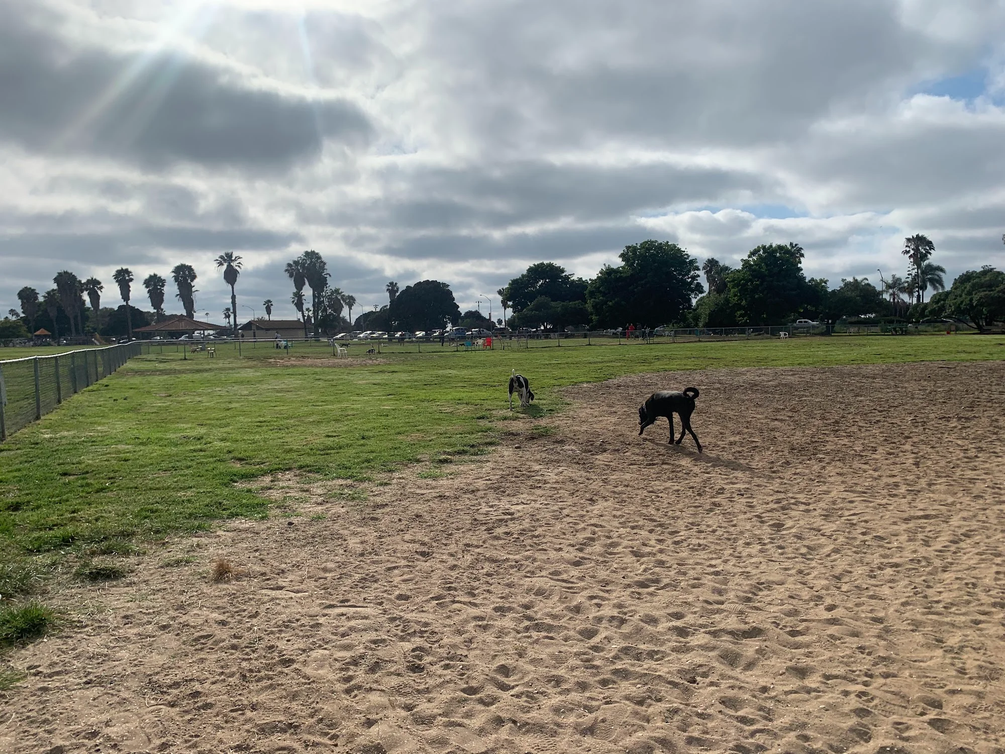 dusty rhodes dog park