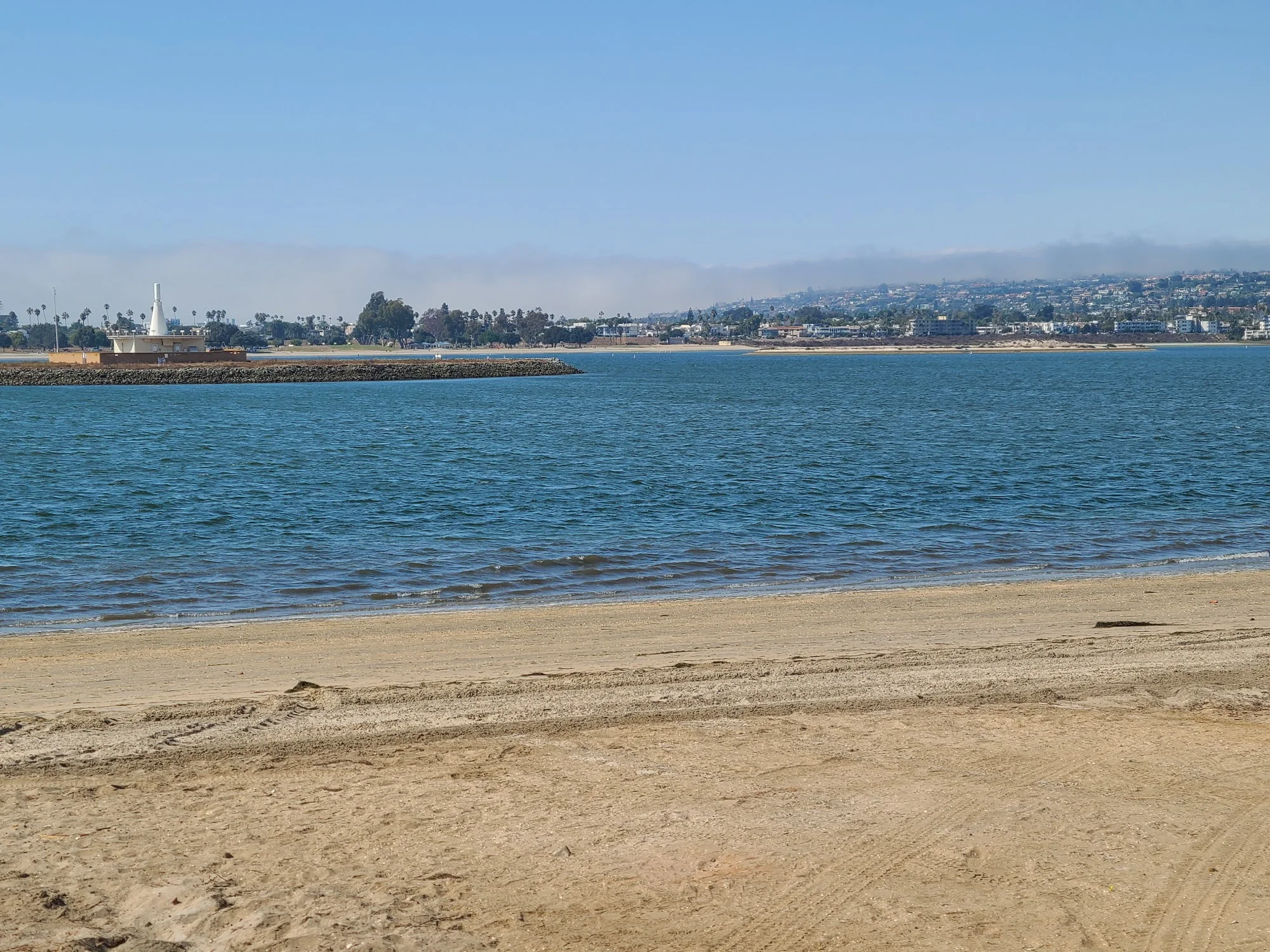 fiesta island dogs